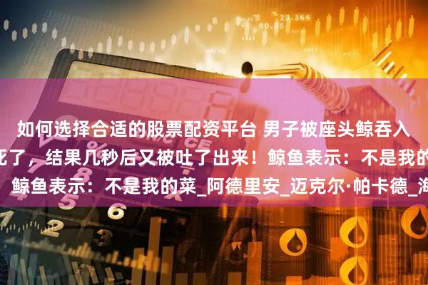 如何选择合适的股票配资平台 男子被座头鲸吞入口中，他以为自己要死了，结果几秒后又被吐了出来！鲸鱼表示：不是我的菜_阿德里安_迈克尔·帕卡德_海洋