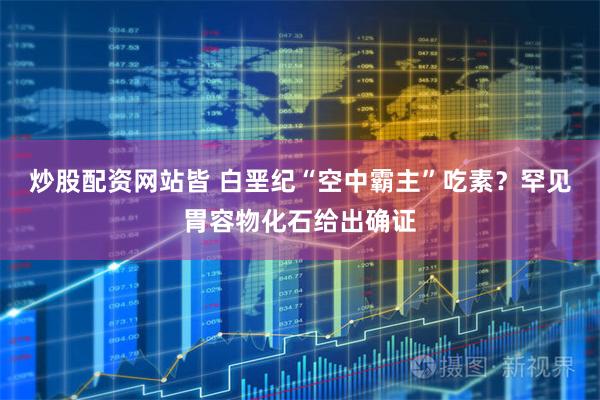 炒股配资网站皆 白垩纪“空中霸主”吃素？罕见胃容物化石给出确证