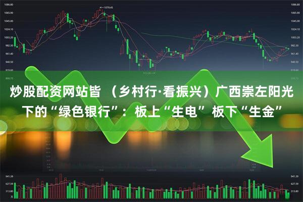 炒股配资网站皆 （乡村行·看振兴）广西崇左阳光下的“绿色银行”：板上“生电” 板下“生金”